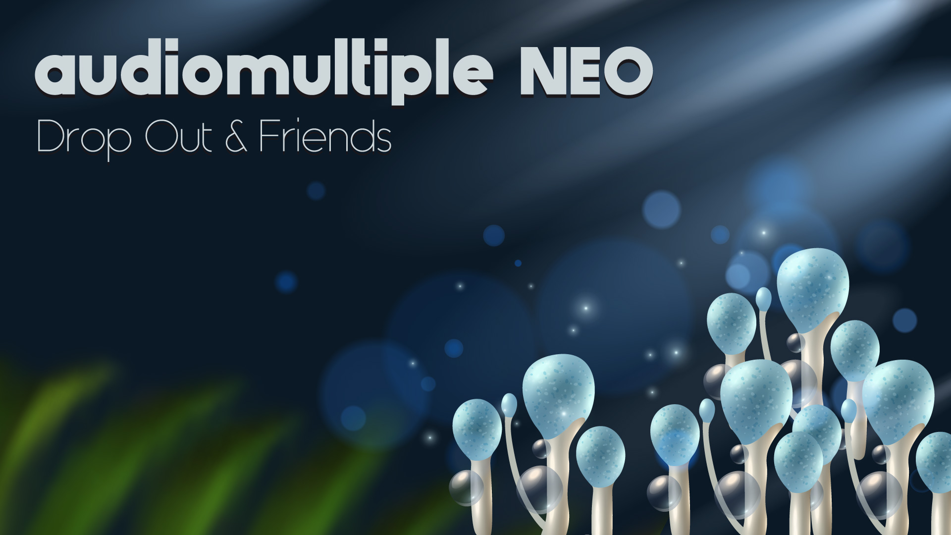 Audiomultiple Neo