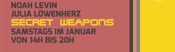 Secret Weapons by Julia Löwenherz & Noah Levin